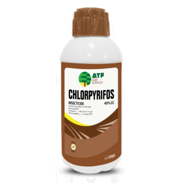Chlorpyrifos